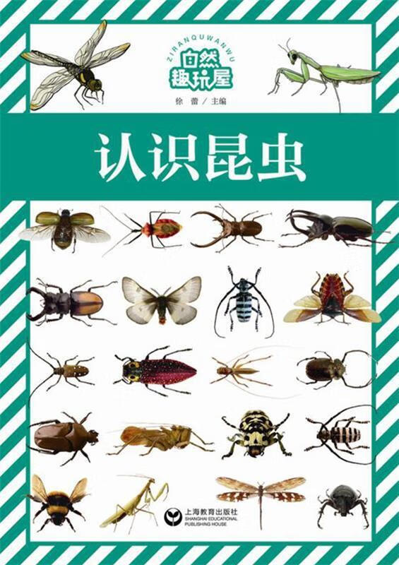 认识昆虫 徐蕾【正版】