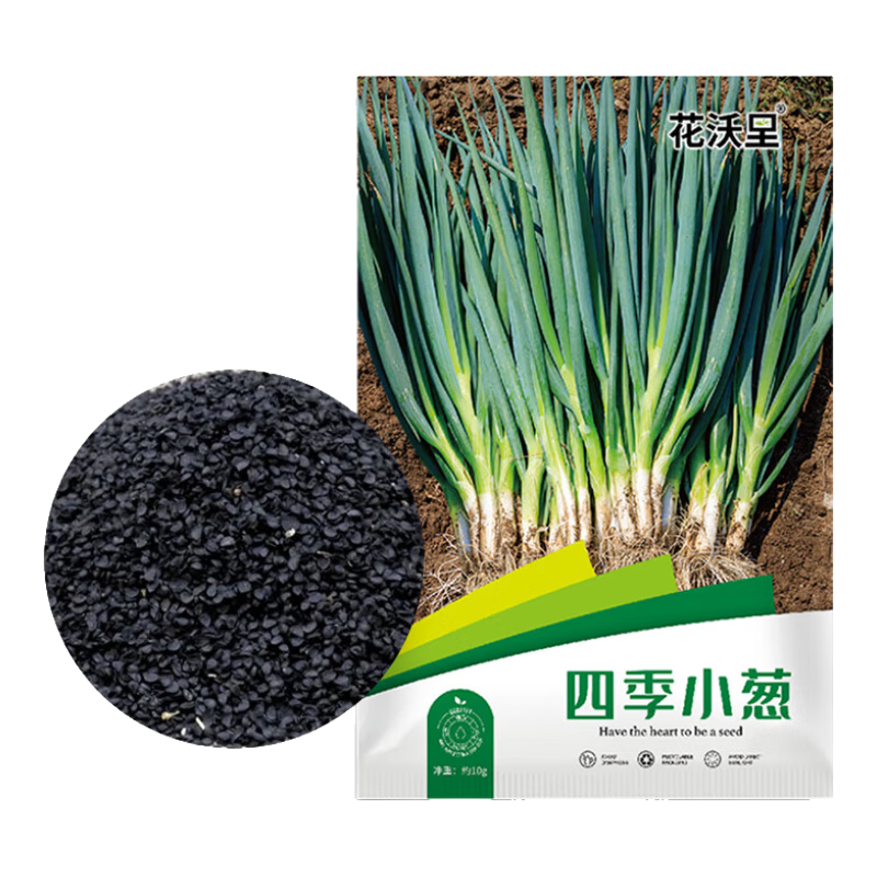 �������ļ�С�������Լ3000��/10g �߲����Ӵ�ȫ��̨����ͥԺ������