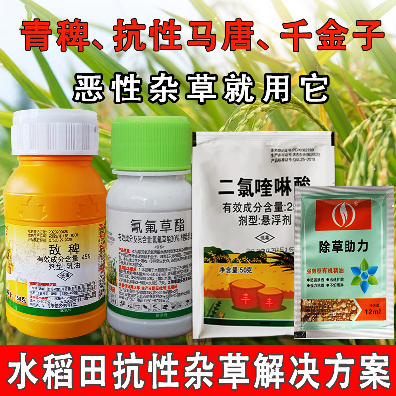 水稻除草剂二氯喹啉酸氰氟草脂敌稗青稗抗性马唐千金子除草 312g