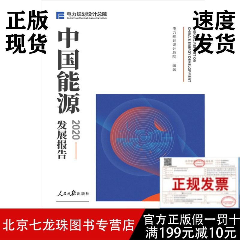 2020中国能源发展报告（2021年7月出版）