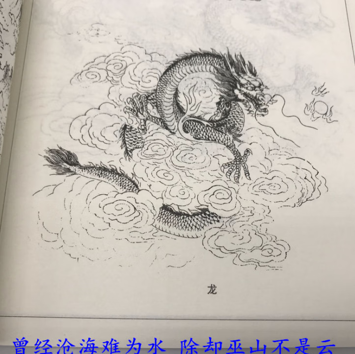 传统龙凤图谱 龙凤 白描工笔 线描图谱 二龙戏珠 龙凤呈祥 正版