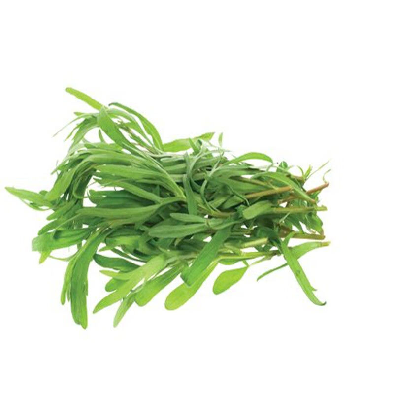 面条菜新鲜面条阔菜现挖野菜柳叶菜面条菜羊蹄棵时令蔬菜蒸菜 1斤