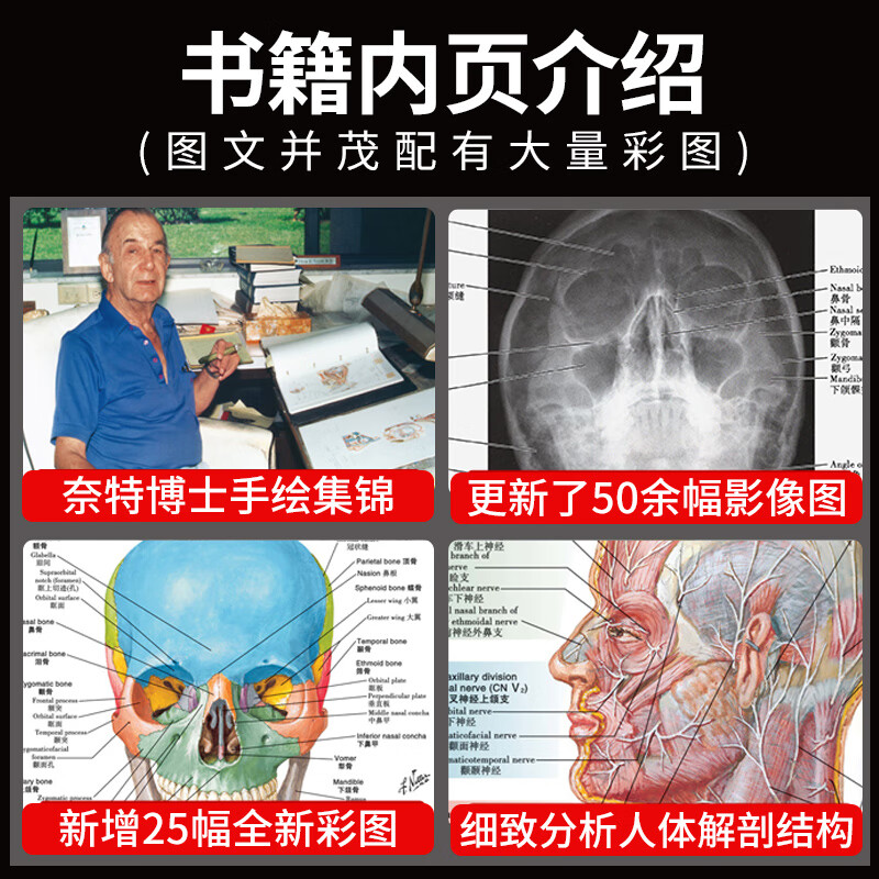 奈特人体解剖学彩色图谱 第8八版 翻译新版临床医学外科学教材书系统