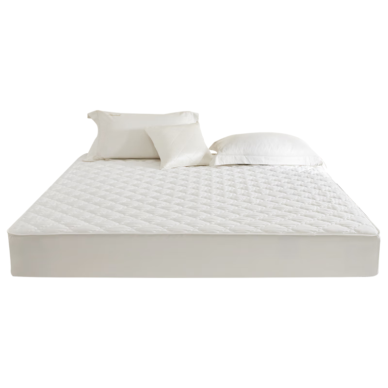 νҷ AϿ ˫¸м ˻׵˯ͷо 40*60cm216.75Ԫȯ