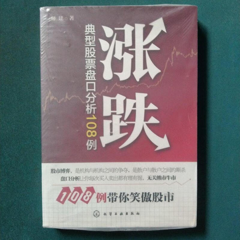 涨跌:典型股票盘口分析108例师建化学工业出版社