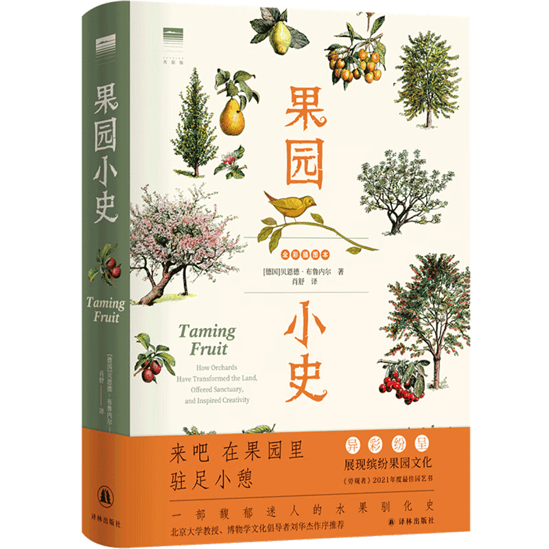 果园小史属于什么档次？