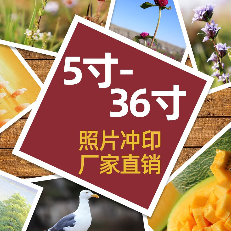 维佳冲洗打印照片洗相片5寸6 7 8 10 12 16寸18 20 24 28寸30 12寸