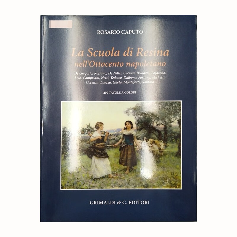 十九世纪那不勒斯的树脂学校 意大利语进口原版书绘画类