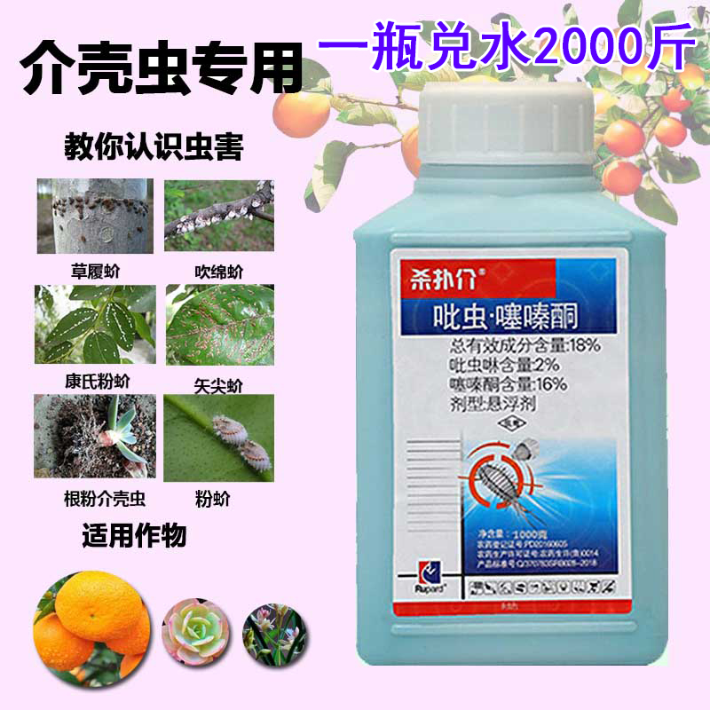 蚧壳虫介壳虫药蚧必治柑橘果树多肉杀扑介磷农药杀虫 1000g