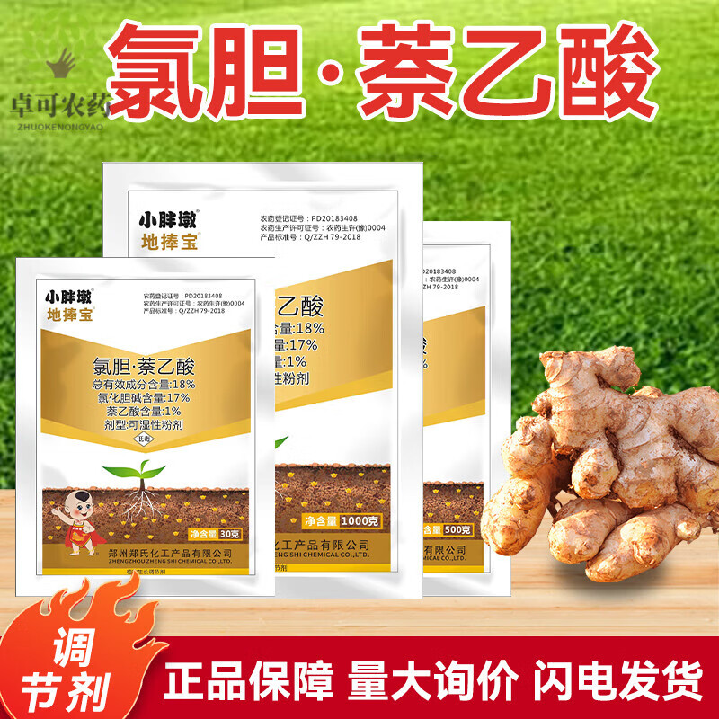 小胖墩氯化胆碱萘乙酸大蒜大姜洋葱红薯花生土豆增产地下根茎块膨大素
