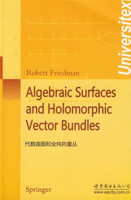 正版!代数曲面和全纯向量丛 ,弗里德曼(friedman.r.