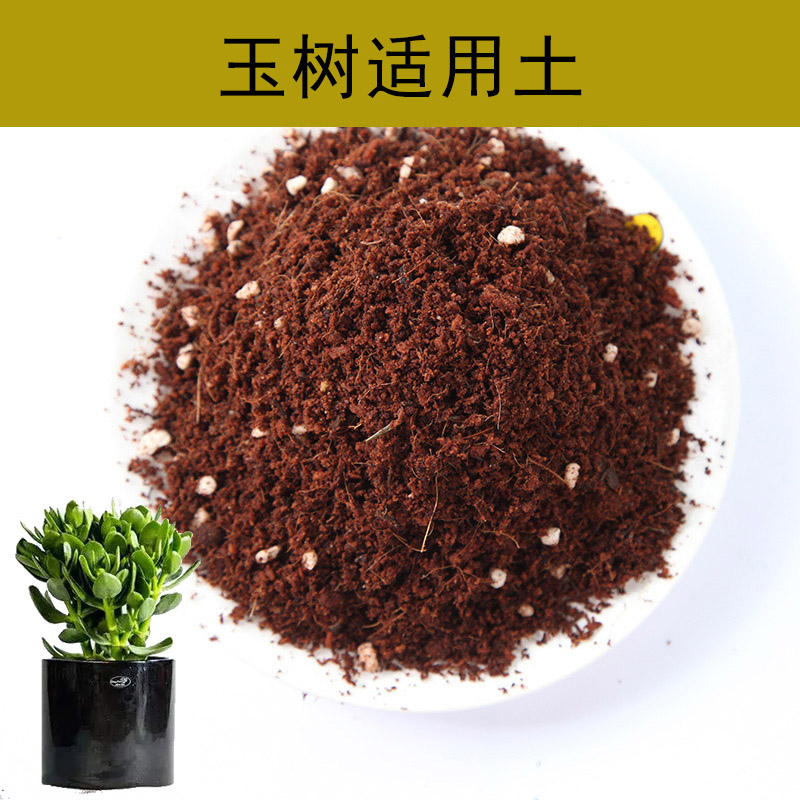 花玲珑 玉树适用土5l玉树盆栽玉树适用土疏松透气自然含水率弱酸性
