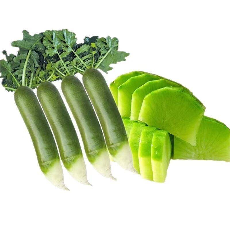 农大姐妹【顺丰】山东潍县水果萝卜 生吃潍坊萝卜 水果青萝卜脆甜微辣爽口 精选果 5斤