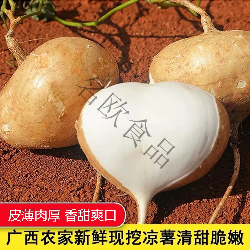新鲜地瓜10斤农家新鲜凉薯新鲜蔬菜水果番薯新鲜白地瓜土瓜地萝卜 1斤