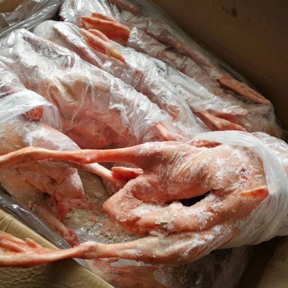 老闫家 新鲜冷冻冷白条鹅仔鹅全鹅带油肺整箱39斤6只7只8只苏浙沪皖