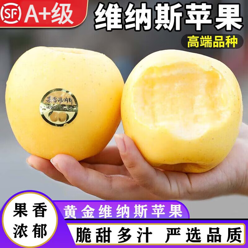 京遇良橙维纳斯黄金苹果山东苹果新鲜水果时令丑苹果 带箱9.5-10斤大果【80mm+】