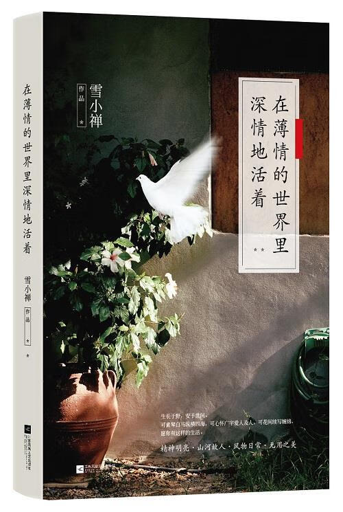 在薄情的世界里深情地 (单册)