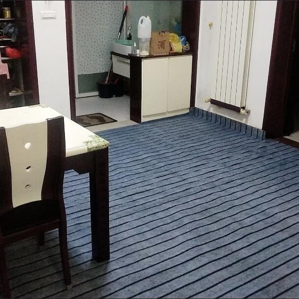 地毯房间卧室客厅大面积全铺办公室房间拍照耐脏客厅可裁剪地毯 烟灰加厚细条纹（6-7毫米厚） 2米宽3米长（整张发）送胶带