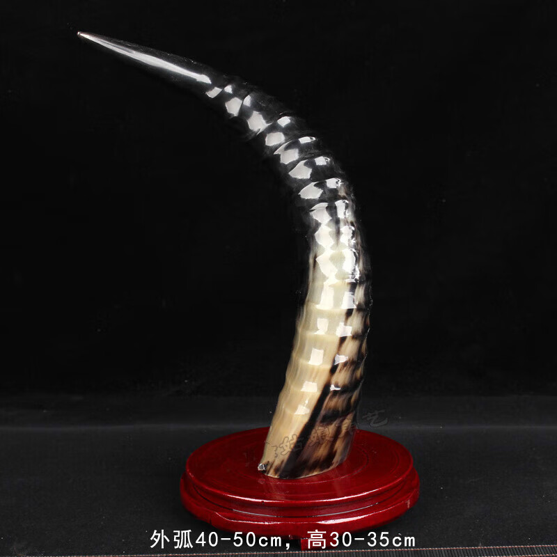 维诺亚创意牛角客厅玄关搬家礼物乔迁之喜新居礼品装饰 黑牦牛角螺旋