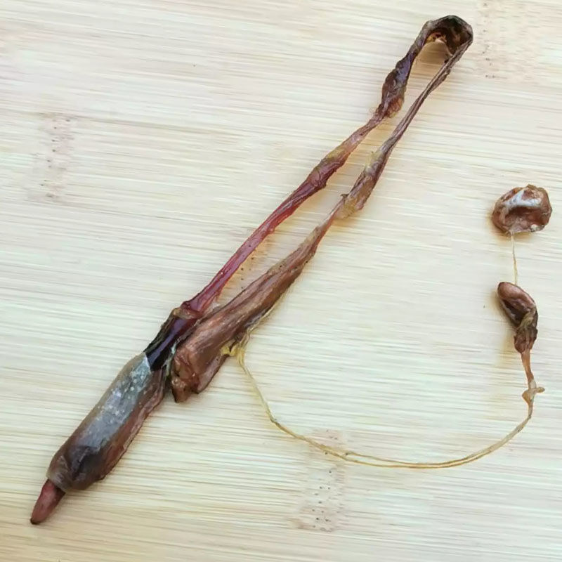 海狗鞭海狗肾海燕泡料海鲜干货中药材泡酒药材煲汤料男人滋补 海狗40