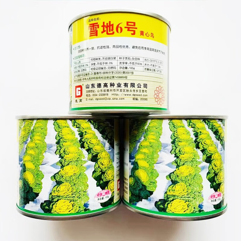 德高雪地6号黄心菜种子黄心乌菜青菜白菜种籽大棵菜耐寒过冬菜 雪地6