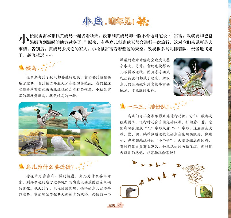 3-6岁 我爱大自然四季科普绘本—秋天，苹果熟了详情图