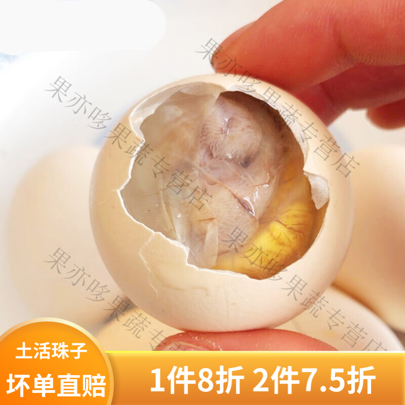 果亦橙活珠子新鲜13天无毛生蛋活珠子13天土鸡蛋胚龙凤钢化蛋旺蛋30枚