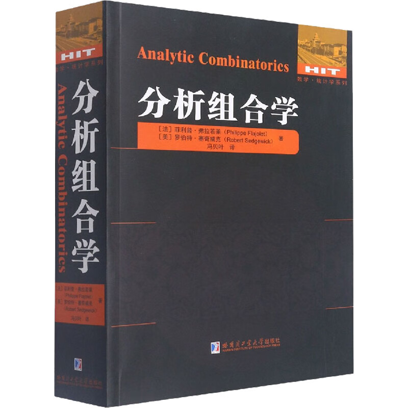 分析组合学 图书