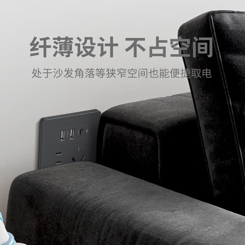 国际电工暗装86型20W快充USB插座开关面板墙壁手机充电Type-c家用五孔 USB+typeC(白色)