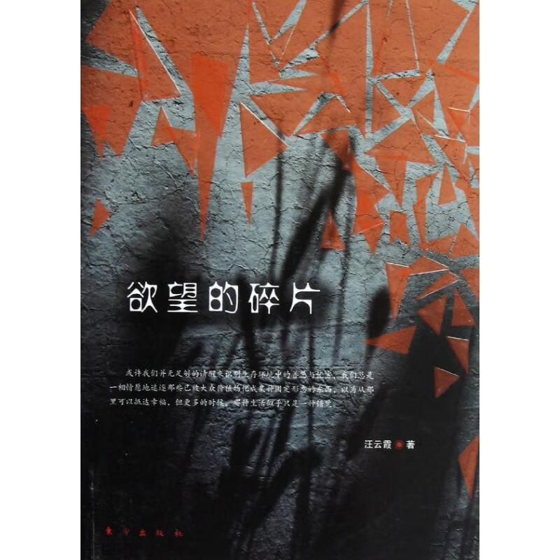 欲望的碎片 汪云霞 书籍