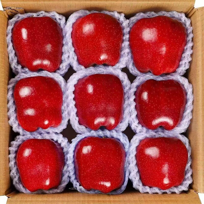 莫小仙甘肃天水苹果新鲜应当季水果宝宝红蛇香甜粉整箱 甄选特大果 净重8.5-9斤