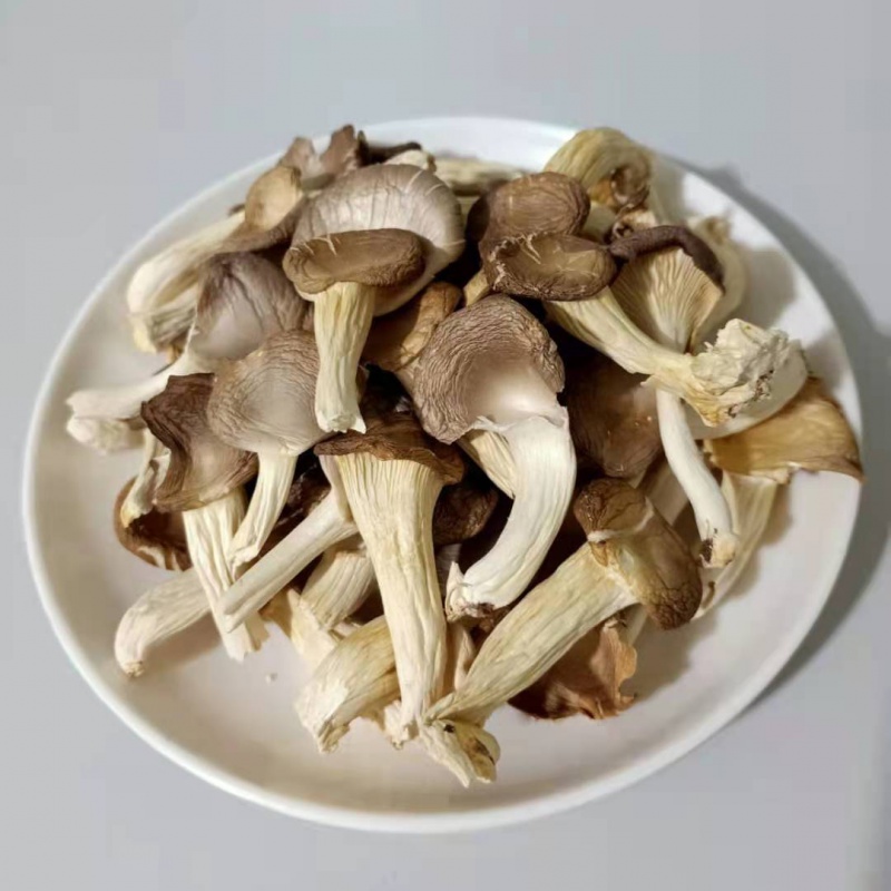 新货凤尾菇秀珍菇菇菌 真姬菇 干货天然袖珍菇250g/500g农产品 精挑