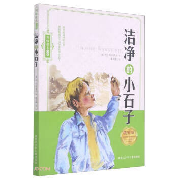 洁净的小石子 利哈诺夫作品集