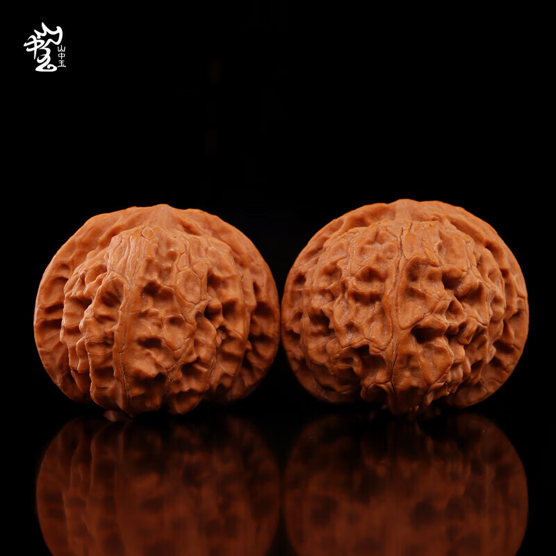 ɽ����������Ұ���������ʨ��ͷ�������������� �ڽ��-40-41MMƻ��԰