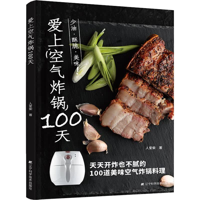 爱上空气炸锅100天 图书