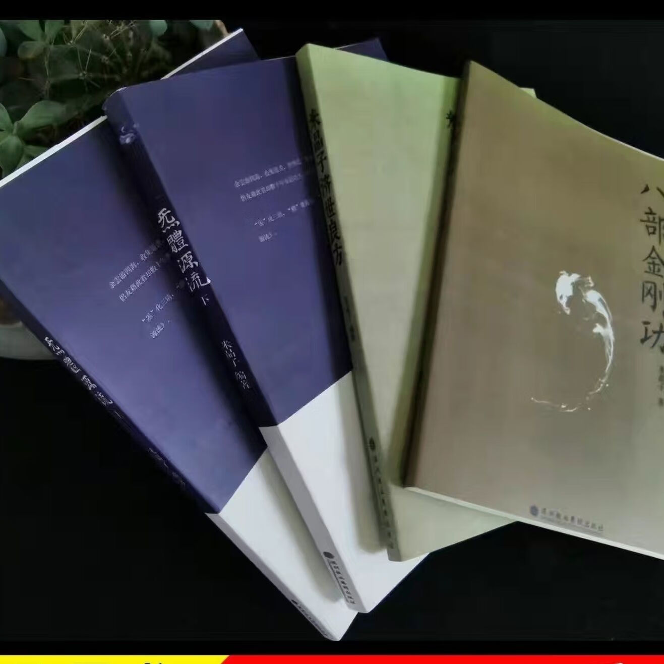 张至顺金刚长寿功八部金刚功米晶子济世良方气体源流上下 5本 5本套装