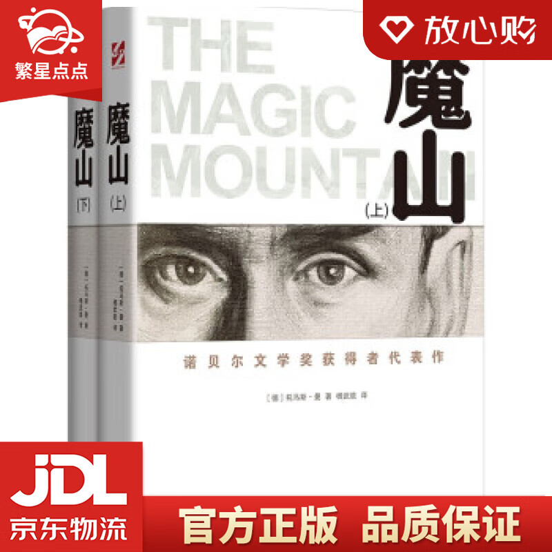 魔山 [德]托马斯·曼著,杨武能 译 时代文艺出版社