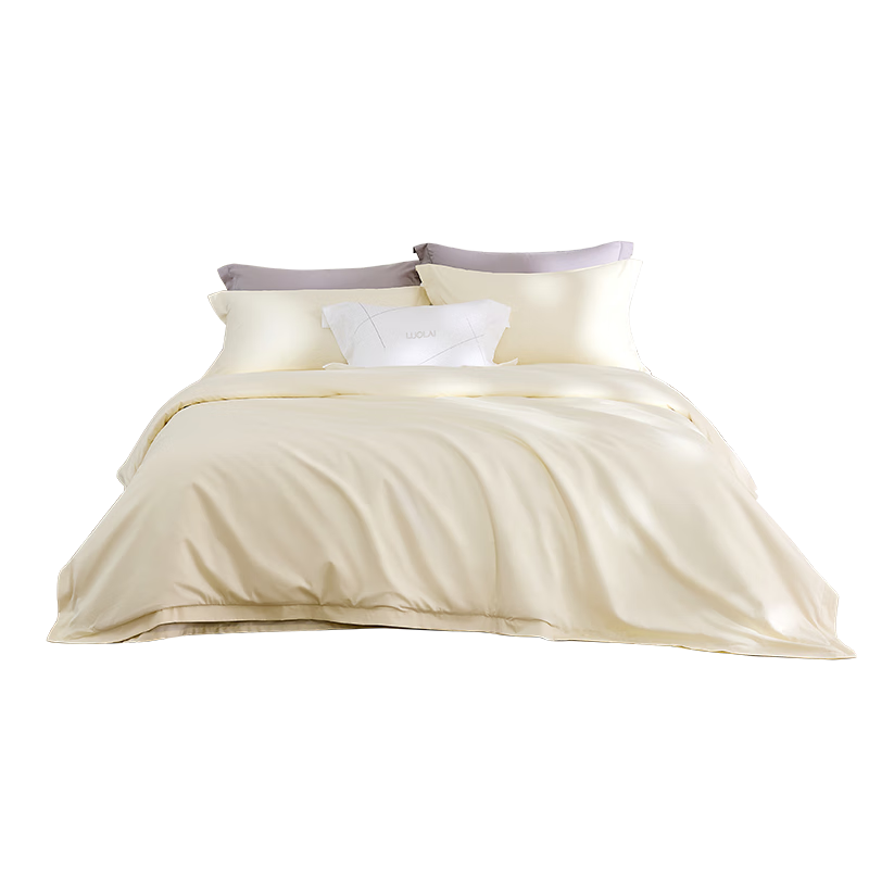 ҷ 100%޴ļ60֧ȫޱ״׼ 200*230 404.1Ԫ()