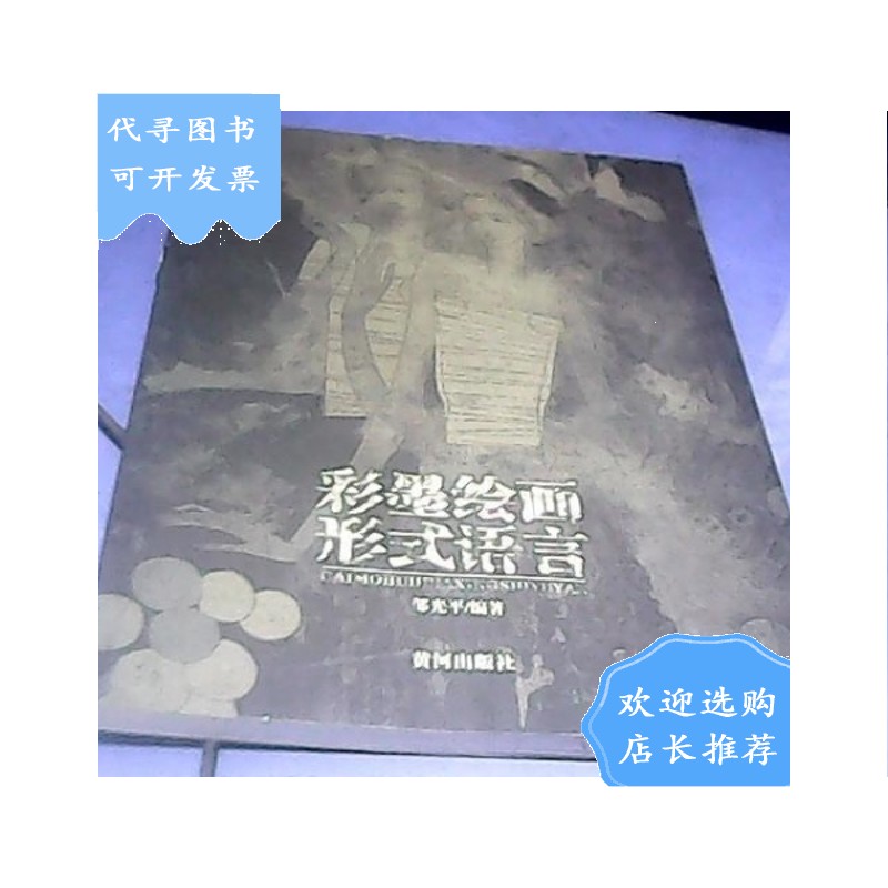【二手八成新】彩墨绘画形式语言