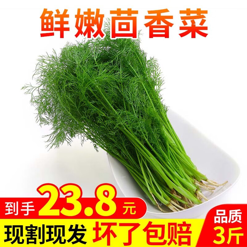 京东叶菜类历史价格在哪里找|叶菜类价格走势图