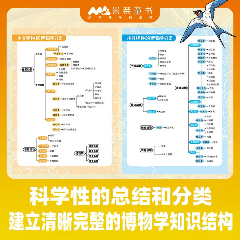 欢迎来到博物世界：给孩子的万物观察指南（函套共5册）详情图