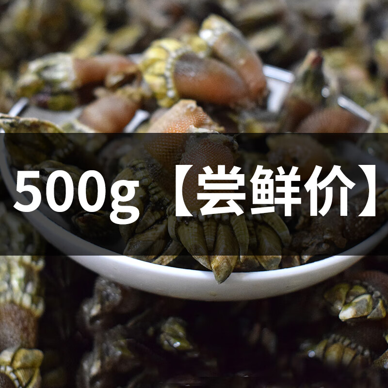 十里馋舟山新鲜小佛手螺500g狗爪螺龟脚贝类鸡爪螺海岛海螺类海鲜水产