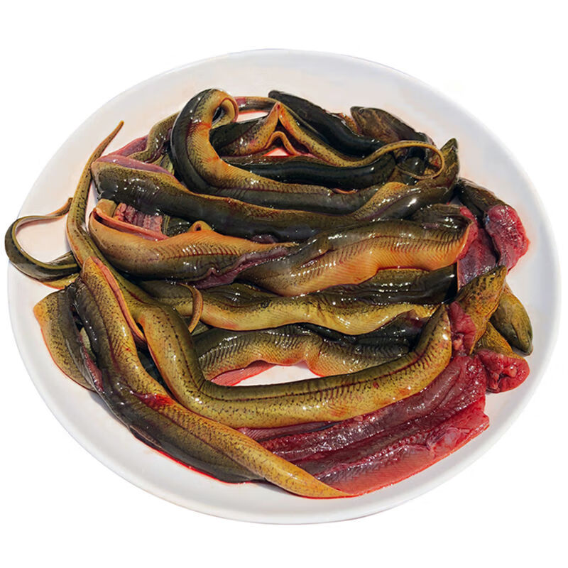 食怀农田捕捞活黄鳝鱼现杀新鲜去骨鳝片鳝丝鳝段筒野生鳝鱼苗顺丰 中