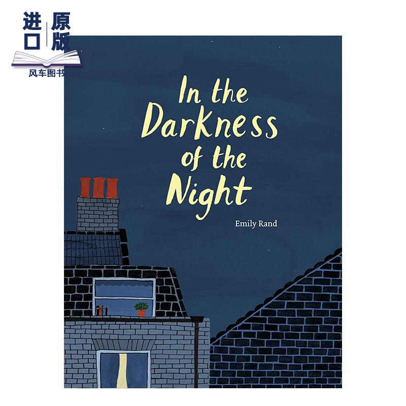 【现货】in the darkness of the night 在黑夜之中 3-6岁书籍进口