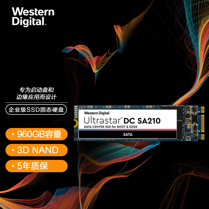 西部数据(Western Digital) 960GB 企业级SSD固态硬盘 M.2接口(SATA总线) SA210系列 五年质保