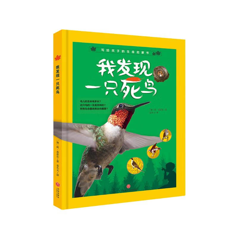 我发现一只死鸟儿童科普生命启蒙加拿大作家童书