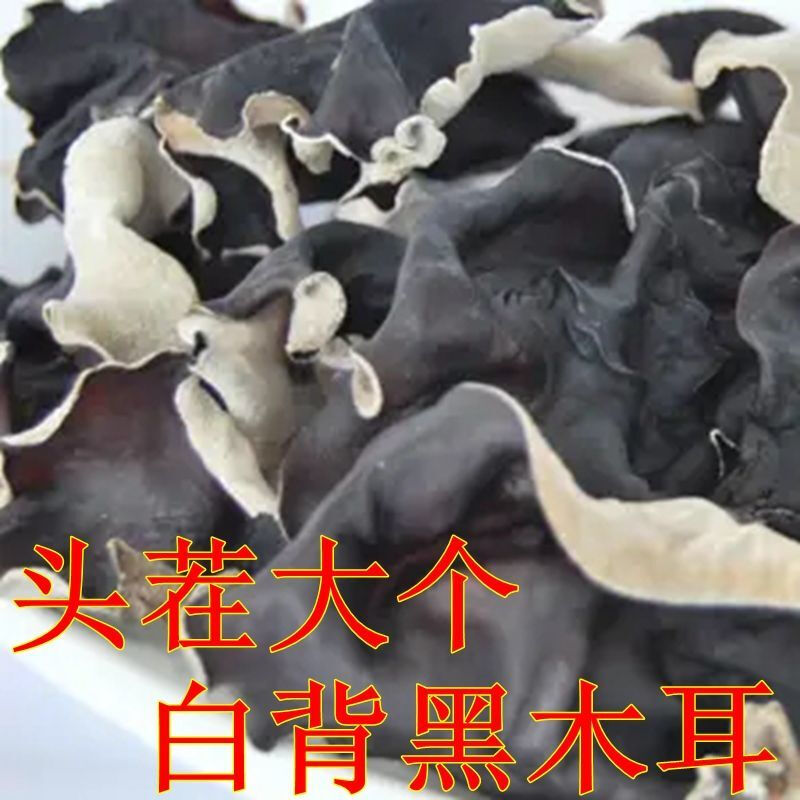 梦信白背黑木耳毛木耳大个凉拌火锅木耳脆木耳黑木耳干货 头茬白背黑