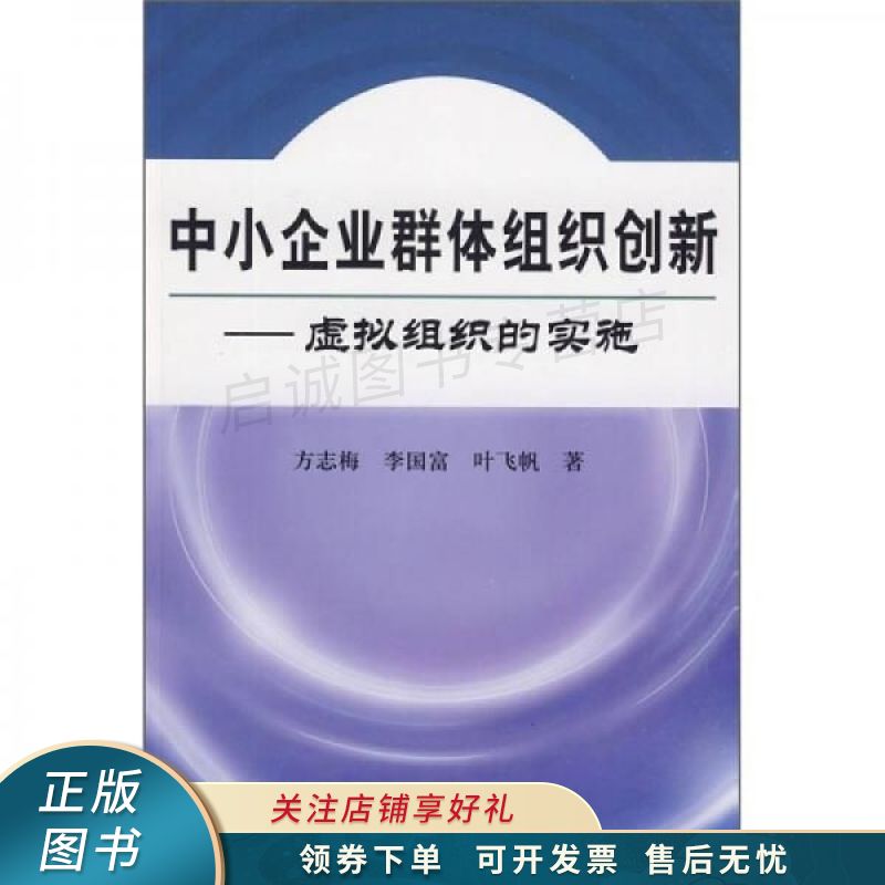 中小企业群体组织创新:虚拟组织的实施 方志梅【稀缺图书,放心购买】