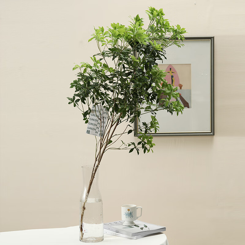 马醉木 相关京东优惠商品排行榜 4 价格图片品牌优惠券 虎窝购