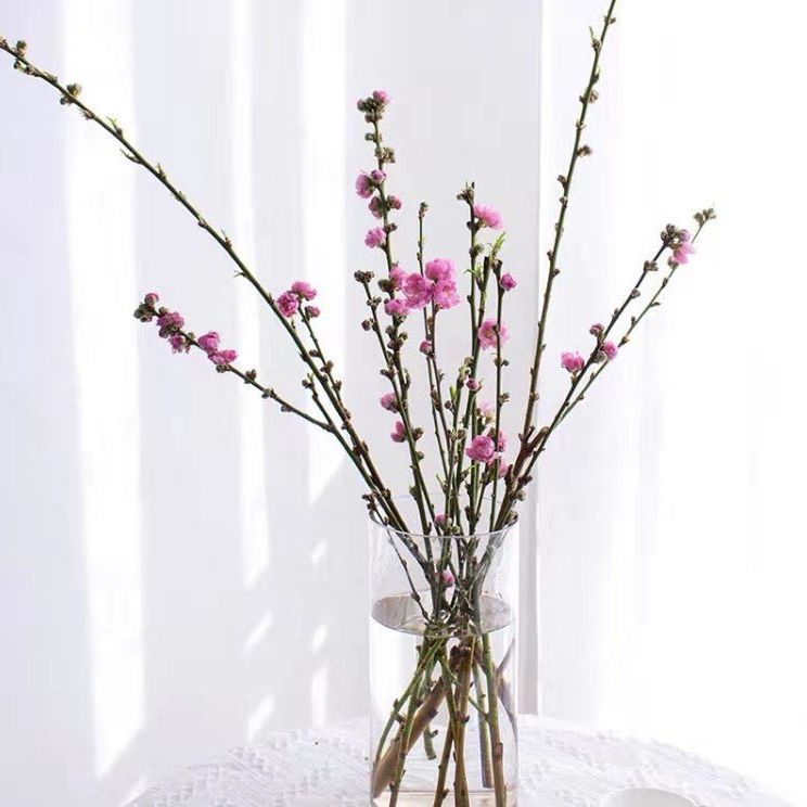 干花历史价格走势查询|干花价格比较